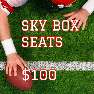 Summer Fundraiser Skybox Tickets $100